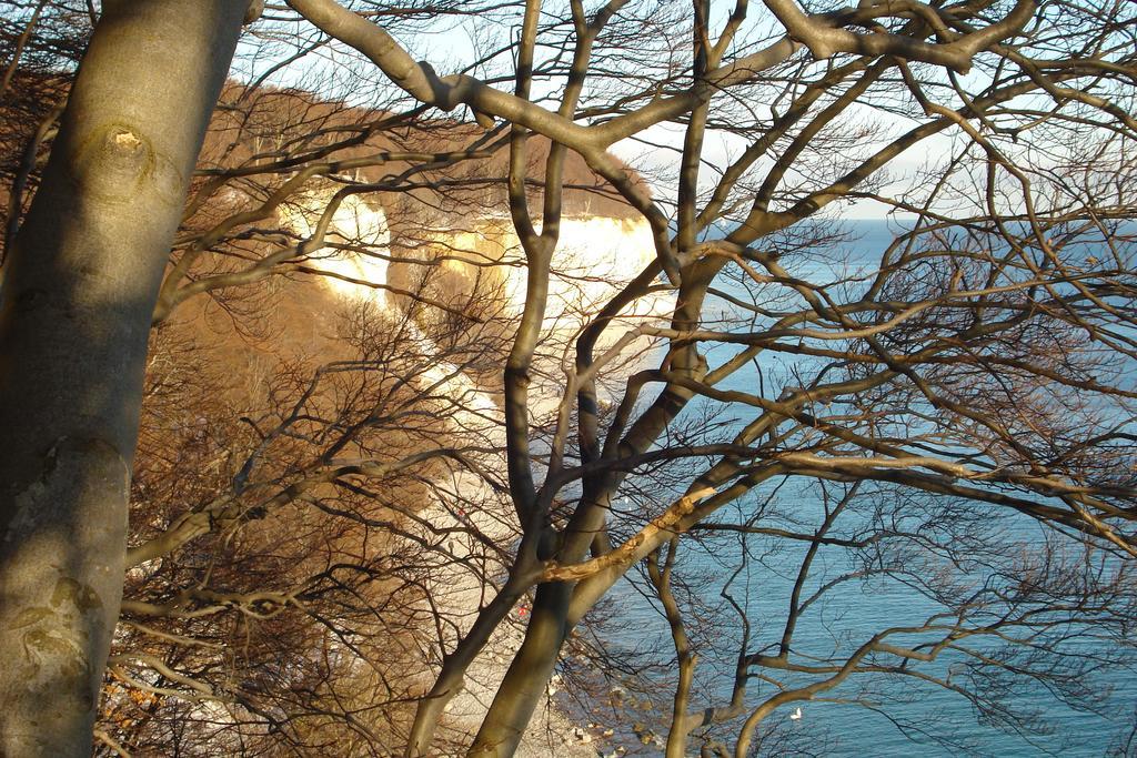 Ferienwohnung in Sassnitz Nähe Weltnaturerbe Exterior foto