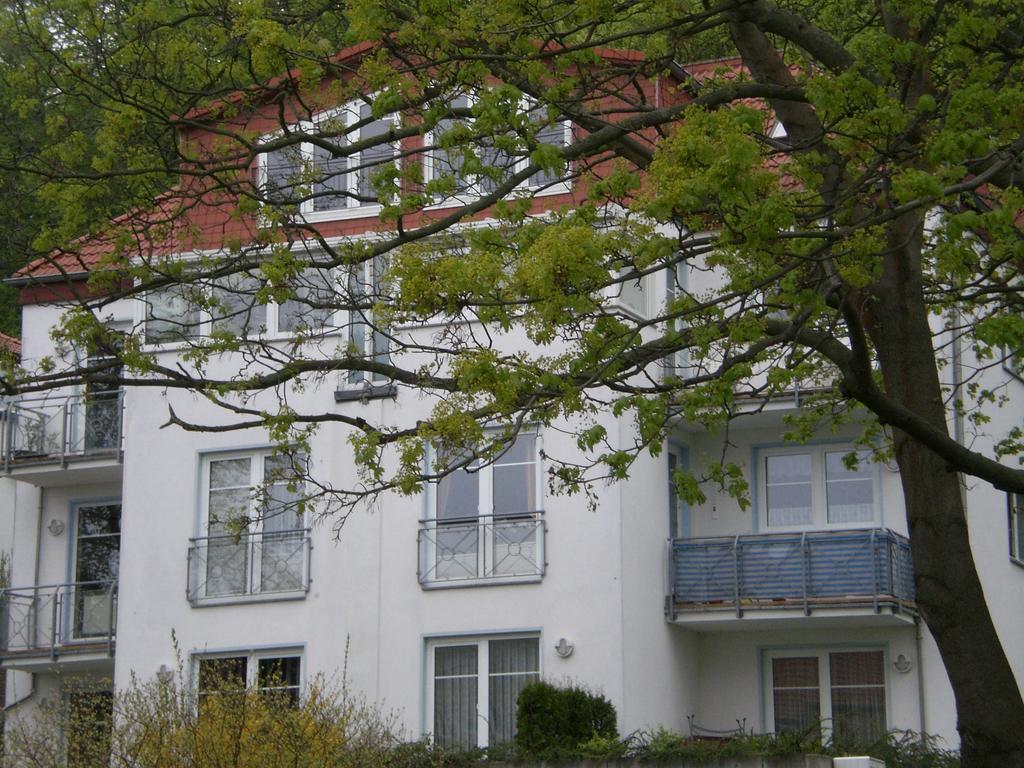 Ferienwohnung in Sassnitz Nähe Weltnaturerbe Exterior foto