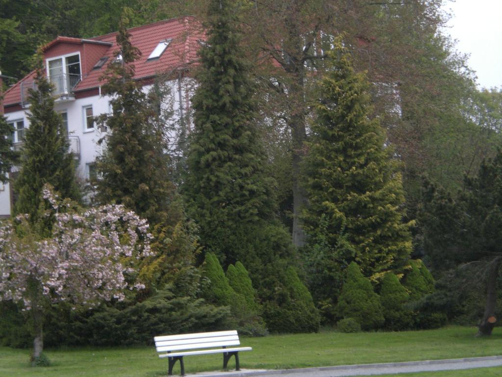 Ferienwohnung in Sassnitz Nähe Weltnaturerbe Exterior foto